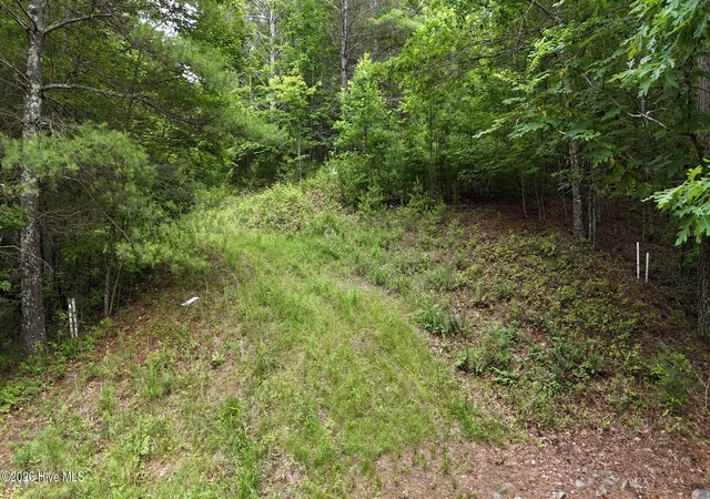 3rd image of 104,105 Choctaw Ridge Trl, Murphy, NC 28906 | MLS# 100580283