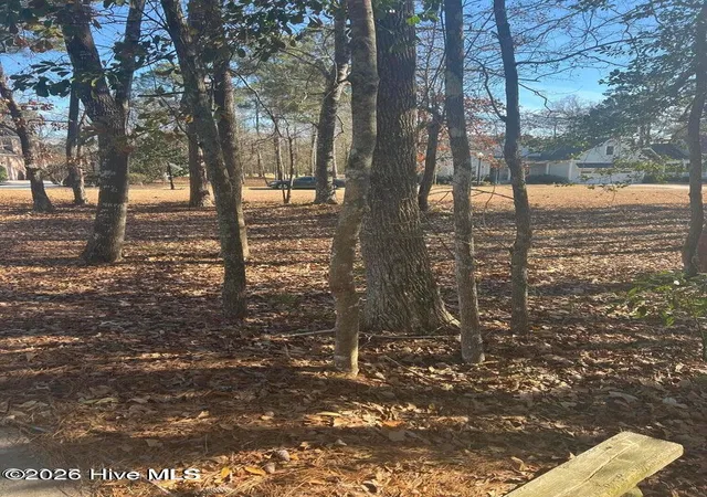 Photo 3 of Land for sale at 92 Plantation Psge Dr SE, Bolivia, NC 28422 | MLS# 100592065 | Listing updated on 2026-07-28