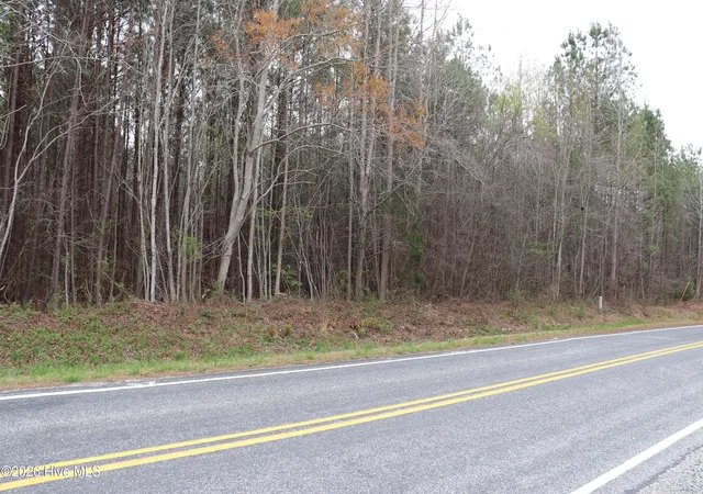 3rd image of 0 Rawls Church Road Road, Fuquay Varina, NC 27526 | MLS# 100564327