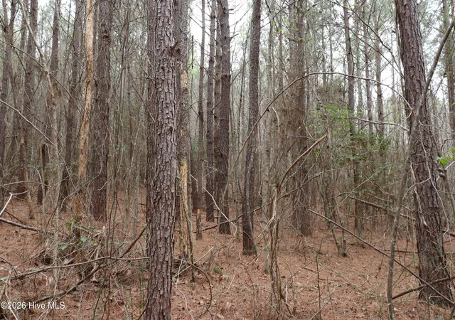 5th image of 0 Rawls Church Road Road, Fuquay Varina, NC 27526 | MLS# 100564327