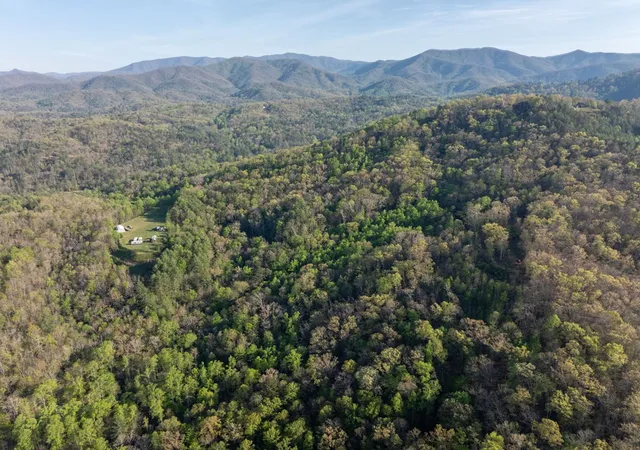 Photo 32 of Land for sale at 8888 Yellow Branch Rd, Robbinsville, NC 28771 | MLS# 98544431 | Listing updated on 2026-06-01