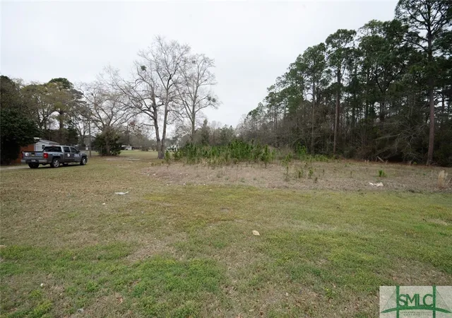 Photo 3 of Land for sale at 109 Ac Elma G Miles Pkwy Rd, Hinesville, GA 31313 | MLS# SA327971 | Listing updated on 2026-07-07