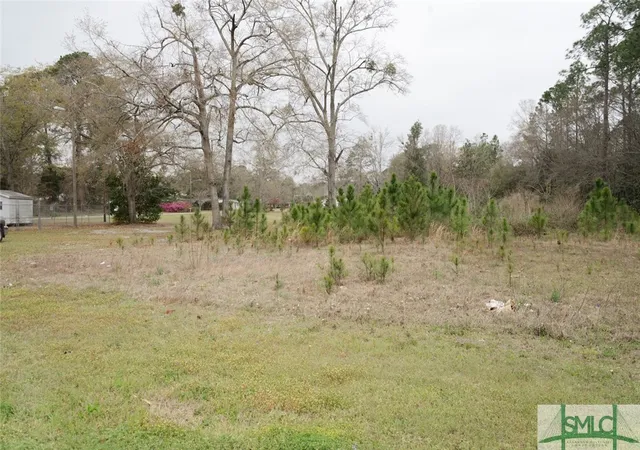 Photo 4 of Land for sale at 109 Ac Elma G Miles Pkwy Rd, Hinesville, GA 31313 | MLS# SA327971 | Listing updated on 2026-07-07