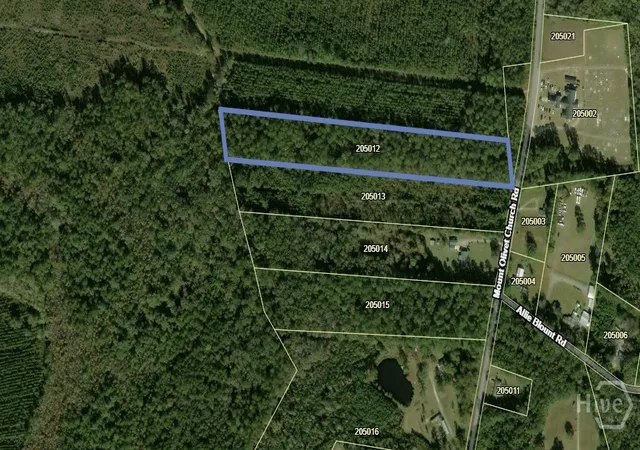 Homes for sale in Fleming, GA | 775 Ac Mount Olivet Church Rd, Fleming, GA 31309 | MLS# SA359925