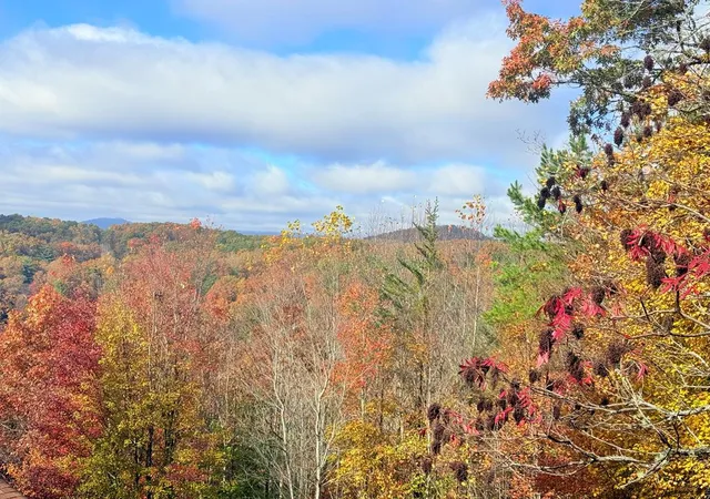 Photo 1 of Land for sale at 12 4 Cardinal Rd, Murphy, NC 28906 | MLS# 98525092 | Listing updated on 2026-07-21