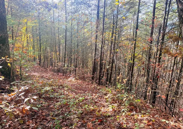 Photo 3 of Land for sale at 12 4 Cardinal Rd, Murphy, NC 28906 | MLS# 98525092 | Listing updated on 2026-07-21