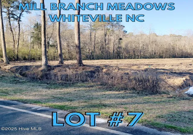 Homes for sale in Whiteville, NC | 1834 Harrelsonville Rd, Whiteville, NC 28472 | MLS# 100562143