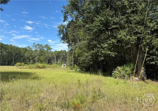 Homes for sale in Rincon, GA | 124 Oak St, Rincon, GA 31326 | MLS# SA354507