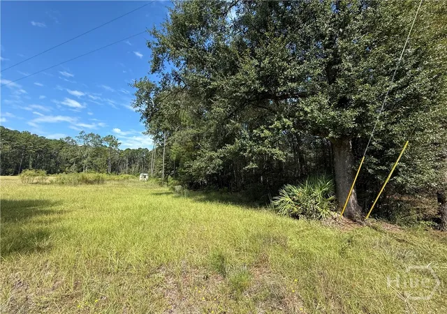 Homes for sale in Rincon, GA | 124 Oak St, Rincon, GA 31326 | MLS# SA354507