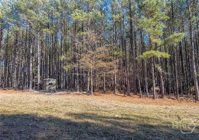 Photo 3 of Land for sale at 1261 Rogers Rd, Tignall, GA 30668 | MLS# CL362389 | Listing updated on 2026-08-17