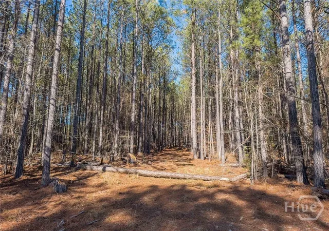 Photo 3 of Land for sale at 1261 Rogers Rd, Tignall, GA 30668 | MLS# CL362389 | Listing updated on 2026-08-17