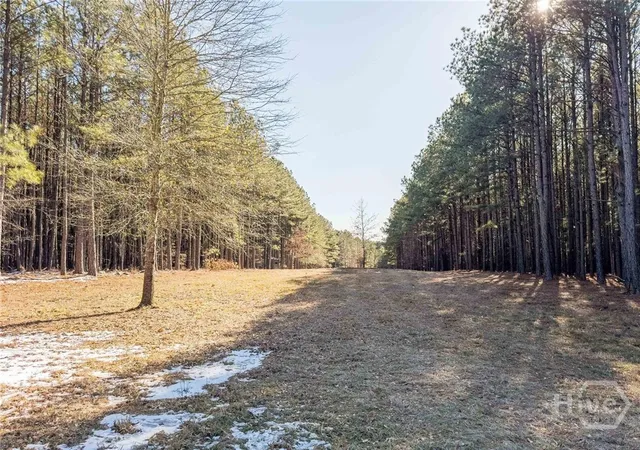 Photo 4 of Land for sale at 1261 Rogers Rd, Tignall, GA 30668 | MLS# CL362389 | Listing updated on 2026-08-17