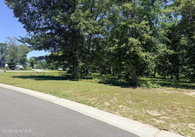 1st image of 3805 River Park Way Ne, Leland, NC 28451 | MLS# 100541681