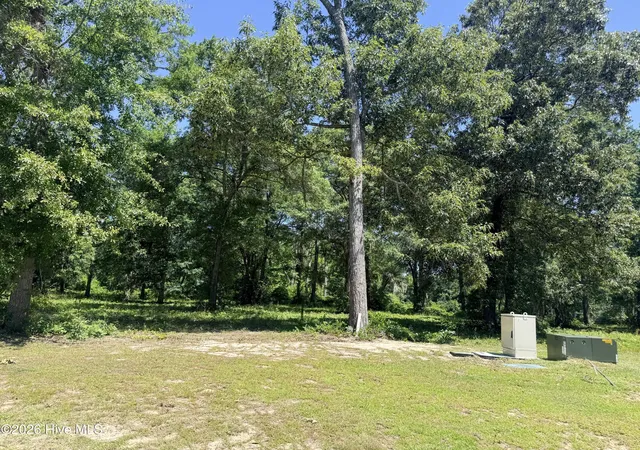 2nd image of 3805 River Park Way Ne, Leland, NC 28451 | MLS# 100541681
