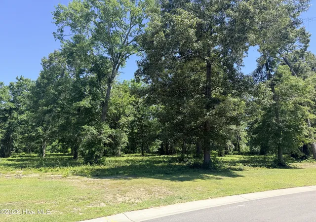 3rd image of 3805 River Park Way Ne, Leland, NC 28451 | MLS# 100541681
