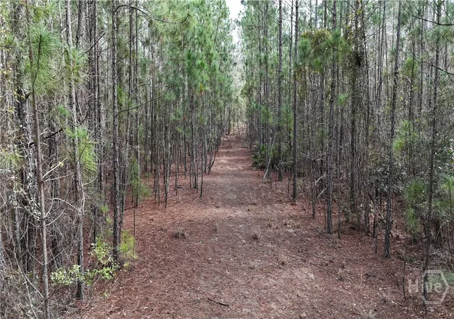 Homes for sale in Pembroke, GA | Lot 1 Lila Ln, Pembroke, GA 31321 | MLS# SA348569