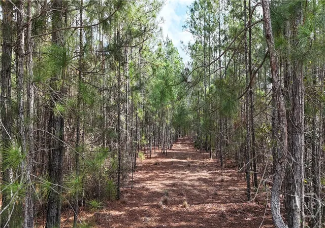 Homes for sale in Pembroke, GA | Lot 1 Lila Ln, Pembroke, GA 31321 | MLS# SA348569