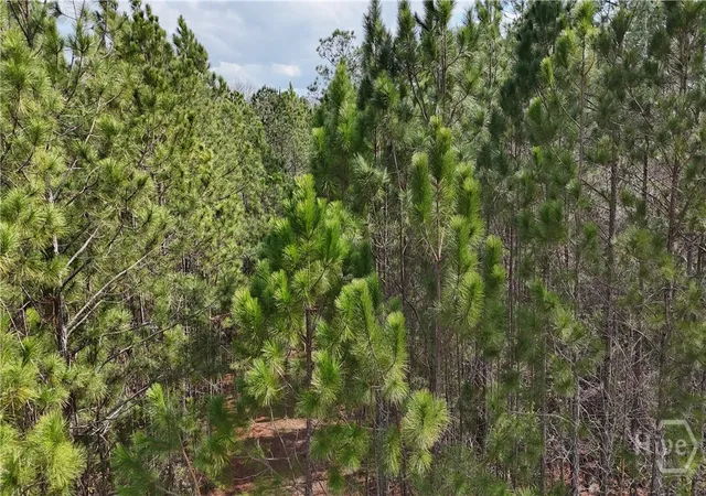 Homes for sale in Pembroke, GA | Lot 1 Lila Ln, Pembroke, GA 31321 | MLS# SA348569