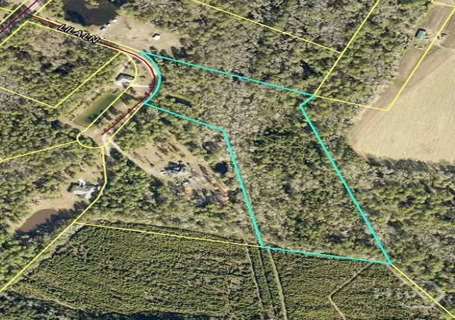 Homes for sale in Pembroke, GA | Lot 1 Lila Ln, Pembroke, GA 31321 | MLS# SA348569