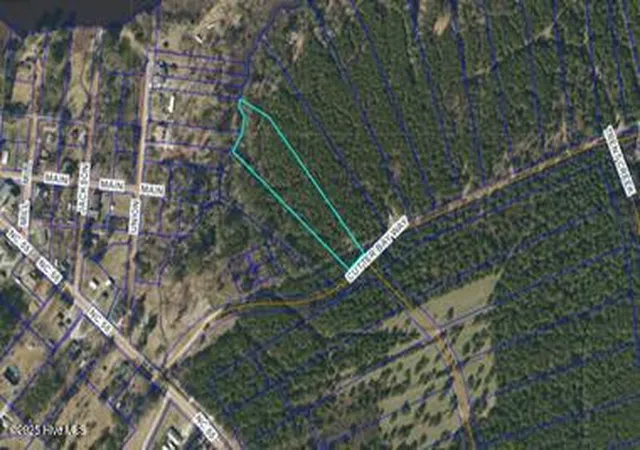 Photo 2 of Land for sale at 137 Cutter Bay Way, Stonewall, NC 28583 | MLS# 100543316 | Listing updated on 2026-06-02
