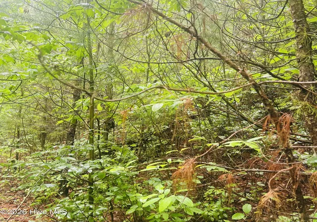 Photo 1 of Land for sale at Lot 20 Owl Blf, Murphy, NC 28906 | MLS# 100581703 | Listing updated on 2026-08-18
