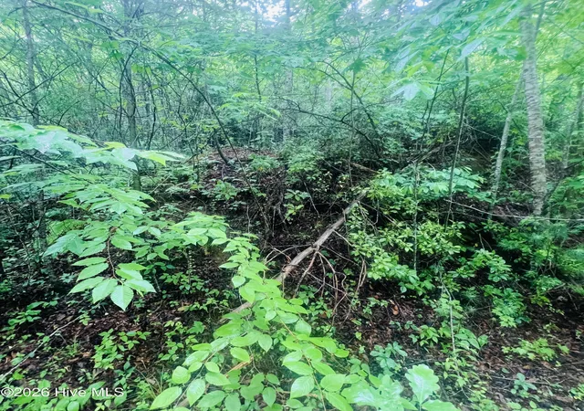 Photo 2 of Land for sale at Lot 20 Owl Blf, Murphy, NC 28906 | MLS# 100581703 | Listing updated on 2026-08-18
