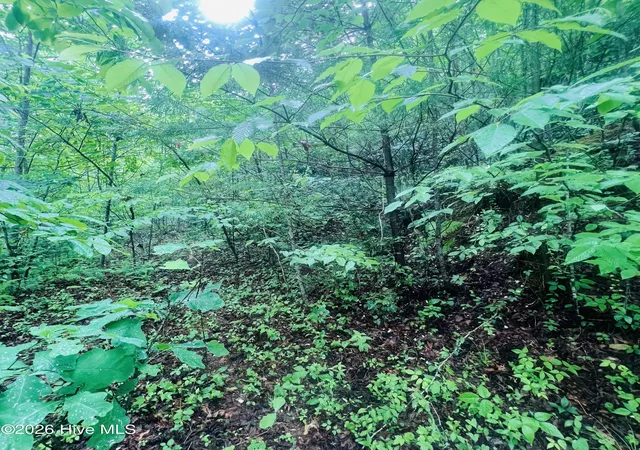 Photo 3 of Land for sale at Lot 20 Owl Blf, Murphy, NC 28906 | MLS# 100581703 | Listing updated on 2026-08-18