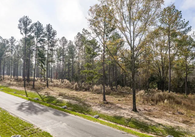 Photo 3 of Land for sale at 158 Beagle Chase Dr, Appling, GA 30802 | MLS# 98254817 | Listing updated on 2026-10-09