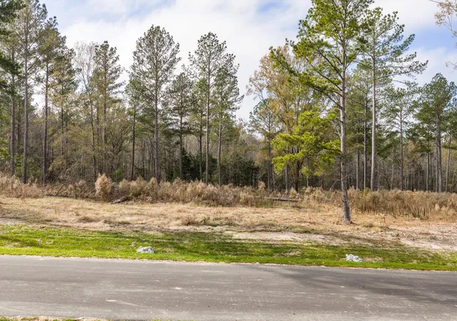 Photo 4 of Land for sale at 158 Beagle Chase Dr, Appling, GA 30802 | MLS# 98254817 | Listing updated on 2026-10-09