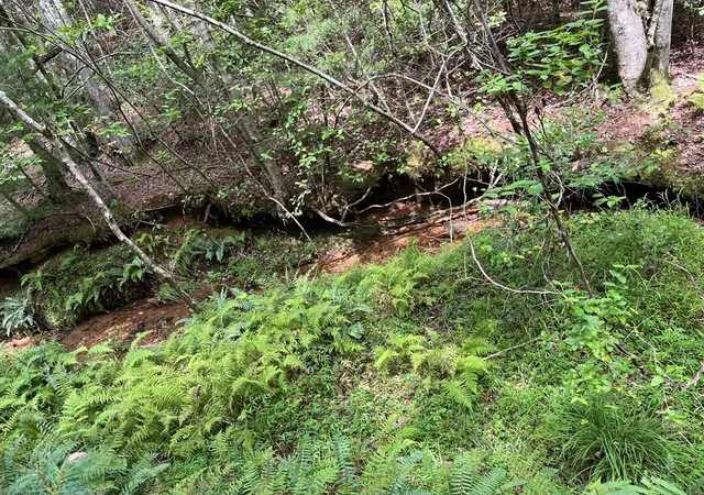 Photo 16 of Land for sale at 0 Sheep Knob, Murphy, NC 28906 | MLS# 98525079 | Listing updated on 2026-07-29