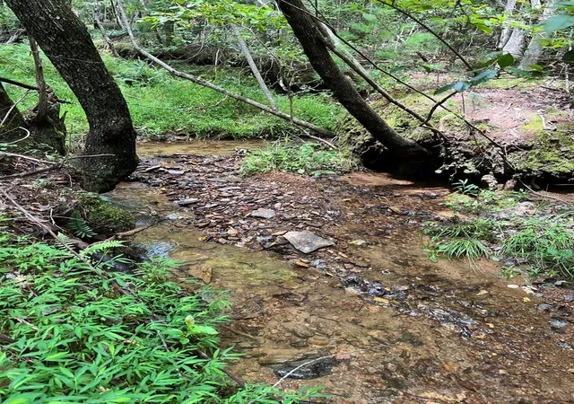 Photo 1 of Land for sale at 0 Sheep Knob, Murphy, NC 28906 | MLS# 98525079 | Listing updated on 2026-07-29