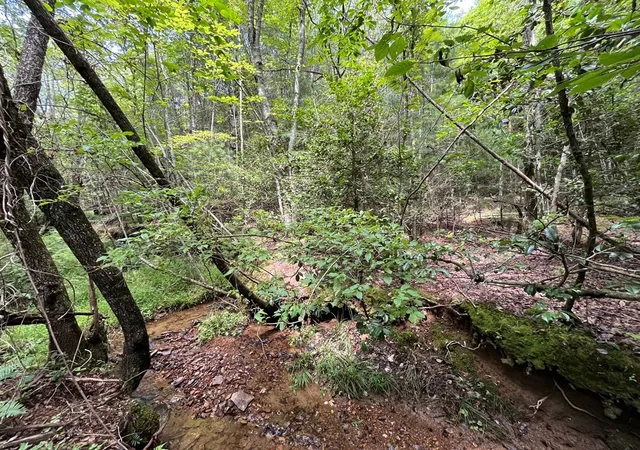 Photo 2 of Land for sale at 0 Sheep Knob, Murphy, NC 28906 | MLS# 98525079 | Listing updated on 2026-07-29