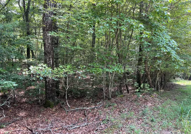 Photo 4 of Land for sale at 0 Sheep Knob, Murphy, NC 28906 | MLS# 98525079 | Listing updated on 2026-07-29