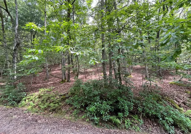 Photo 5 of Land for sale at 0 Sheep Knob, Murphy, NC 28906 | MLS# 98525079 | Listing updated on 2026-07-29