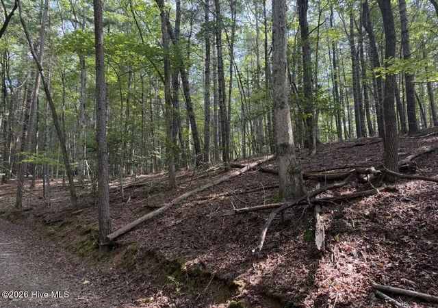 Photo 14 of Land for sale at 919 Panther Top Rd, Murphy, NC 28906 | MLS# 100596461 | Listing updated on 2026-08-18