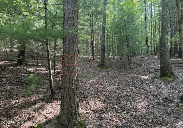 Photo 1 of Land for sale at 919 Panther Top Rd, Murphy, NC 28906 | MLS# 100596461 | Listing updated on 2026-08-18