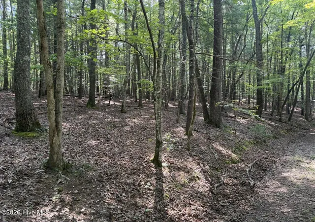 Photo 2 of Land for sale at 919 Panther Top Rd, Murphy, NC 28906 | MLS# 100596461 | Listing updated on 2026-08-18