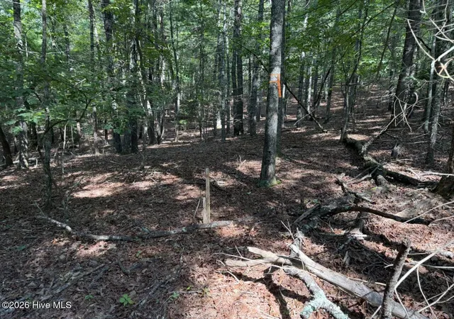 Photo 3 of Land for sale at 919 Panther Top Rd, Murphy, NC 28906 | MLS# 100596461 | Listing updated on 2026-08-18