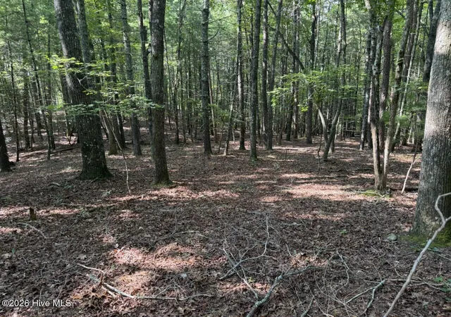 Photo 4 of Land for sale at 919 Panther Top Rd, Murphy, NC 28906 | MLS# 100596461 | Listing updated on 2026-08-18