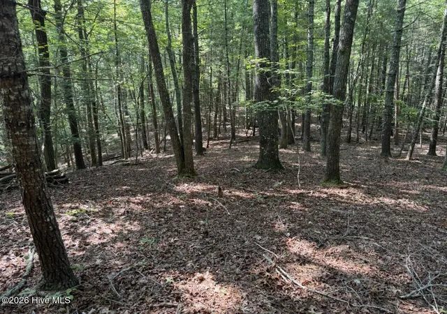 Photo 5 of Land for sale at 919 Panther Top Rd, Murphy, NC 28906 | MLS# 100596461 | Listing updated on 2026-08-18