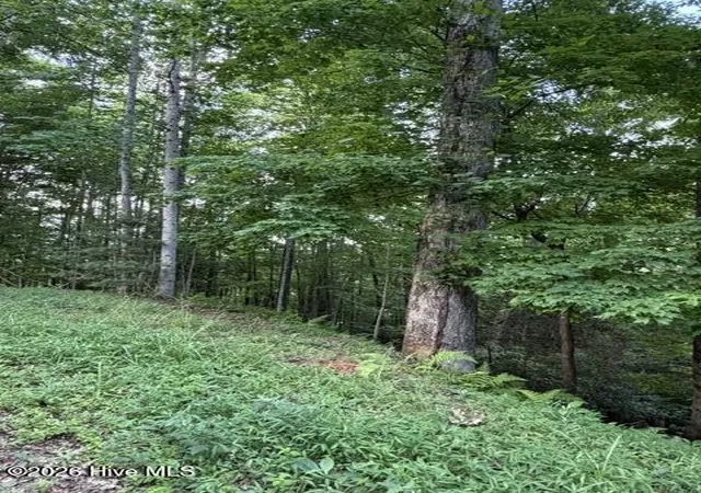 Homes for sale in Murphy, NC | Lot 59 Quiet Mountain Trl, Murphy, NC 28906 | MLS# 100582471