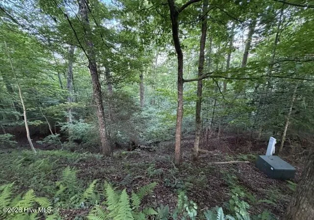 Homes for sale in Murphy, NC | Lot 59 Quiet Mountain Trl, Murphy, NC 28906 | MLS# 100582471