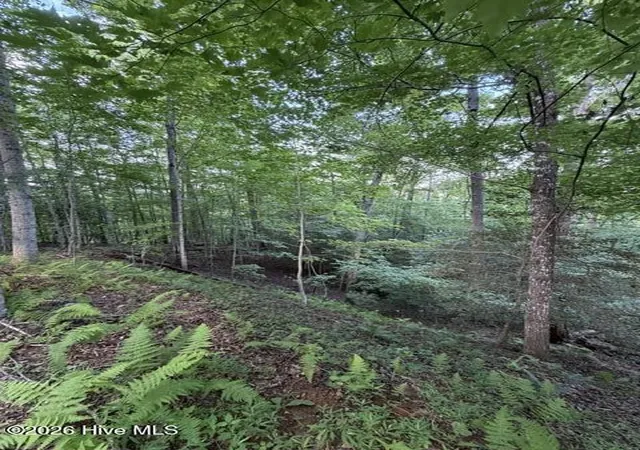 Homes for sale in Murphy, NC | Lot 59 Quiet Mountain Trl, Murphy, NC 28906 | MLS# 100582471