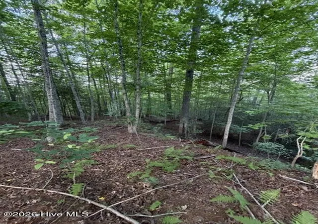 Homes for sale in Murphy, NC | Lot 59 Quiet Mountain Trl, Murphy, NC 28906 | MLS# 100582471