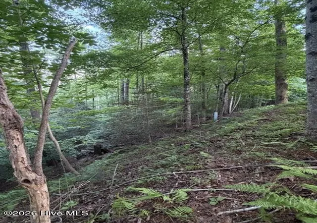 Homes for sale in Murphy, NC | Lot 59 Quiet Mountain Trl, Murphy, NC 28906 | MLS# 100582471