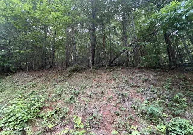 Homes for sale in Murphy, NC | Lot 59 Quiet Mountain Trl, Murphy, NC 28906 | MLS# 100582471