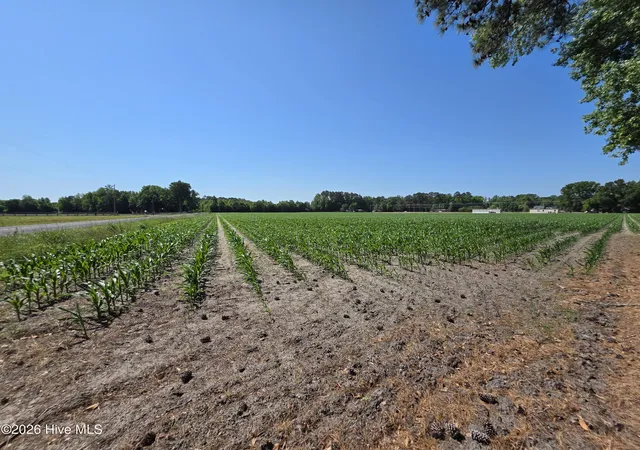 Photo 2 of Land for sale at 0 Old Brick Rd, Vanceboro, NC 28586 | MLS# 100577716 | Listing updated on 2026-09-25