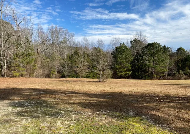Photo 3 of Land for sale at 6384 Cobbham Rd, Appling, GA 30802 | MLS# 98212129 | Listing updated on 2026-06-12