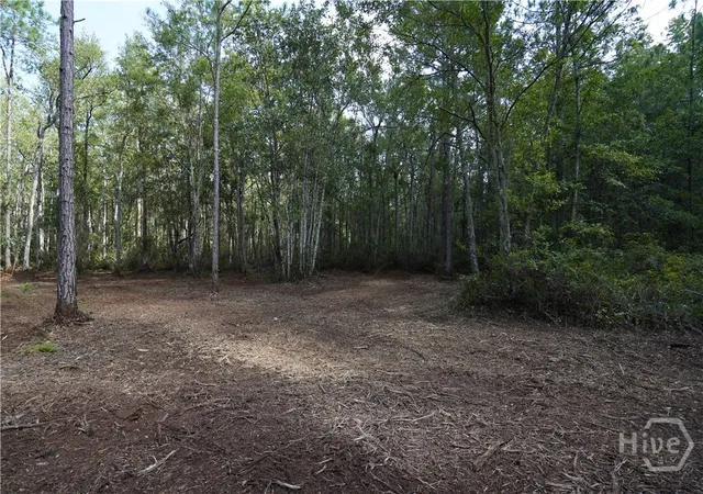 Photo 3 of Land for sale at 1 Williams Rd, Guyton, GA 31312 | MLS# SA363572 | Listing updated on 2026-09-03