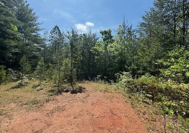 Homes for sale in Marble, NC | Lot 9 Paradise, Marble, NC 28905 | MLS# 98543707